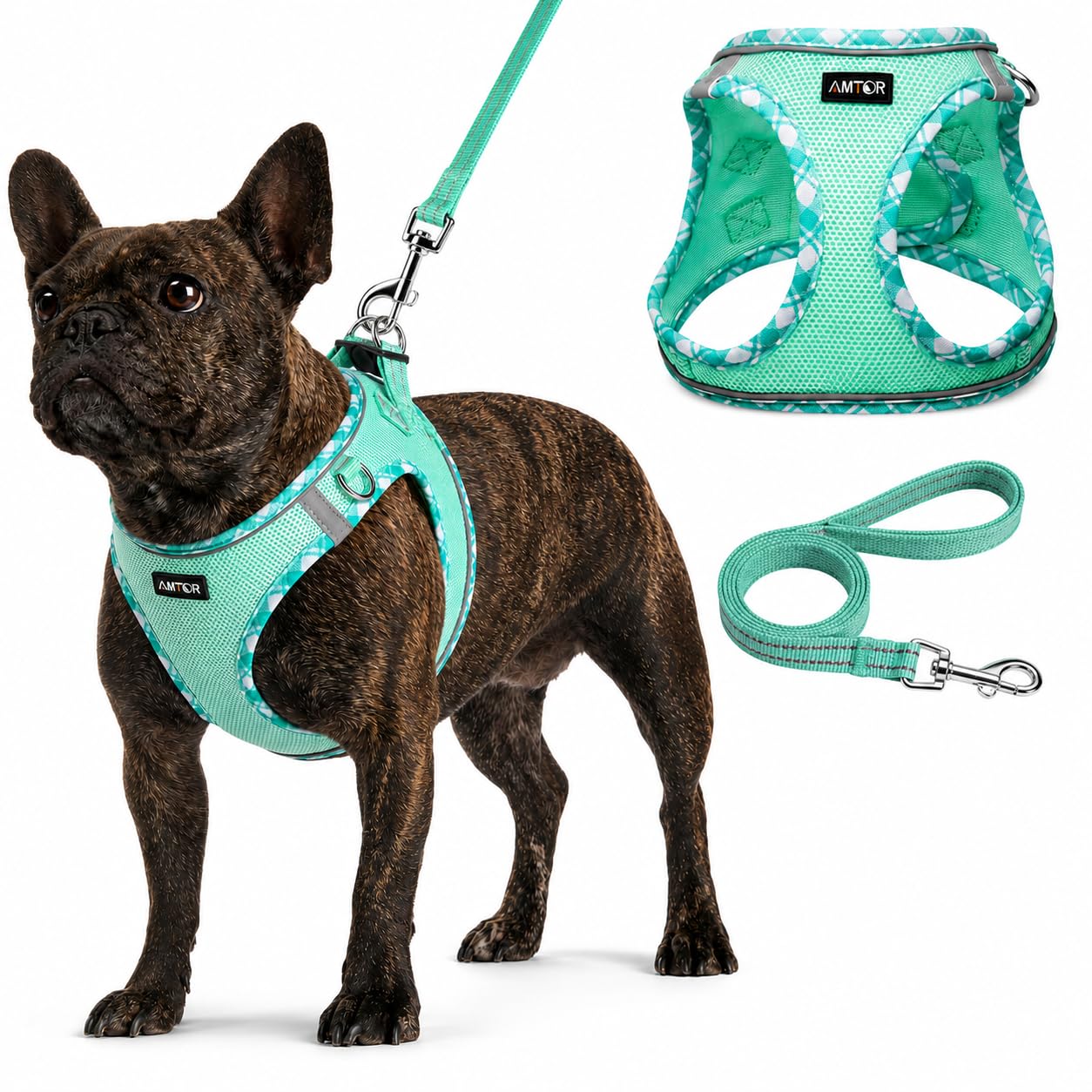 AMTOR Harness Set S