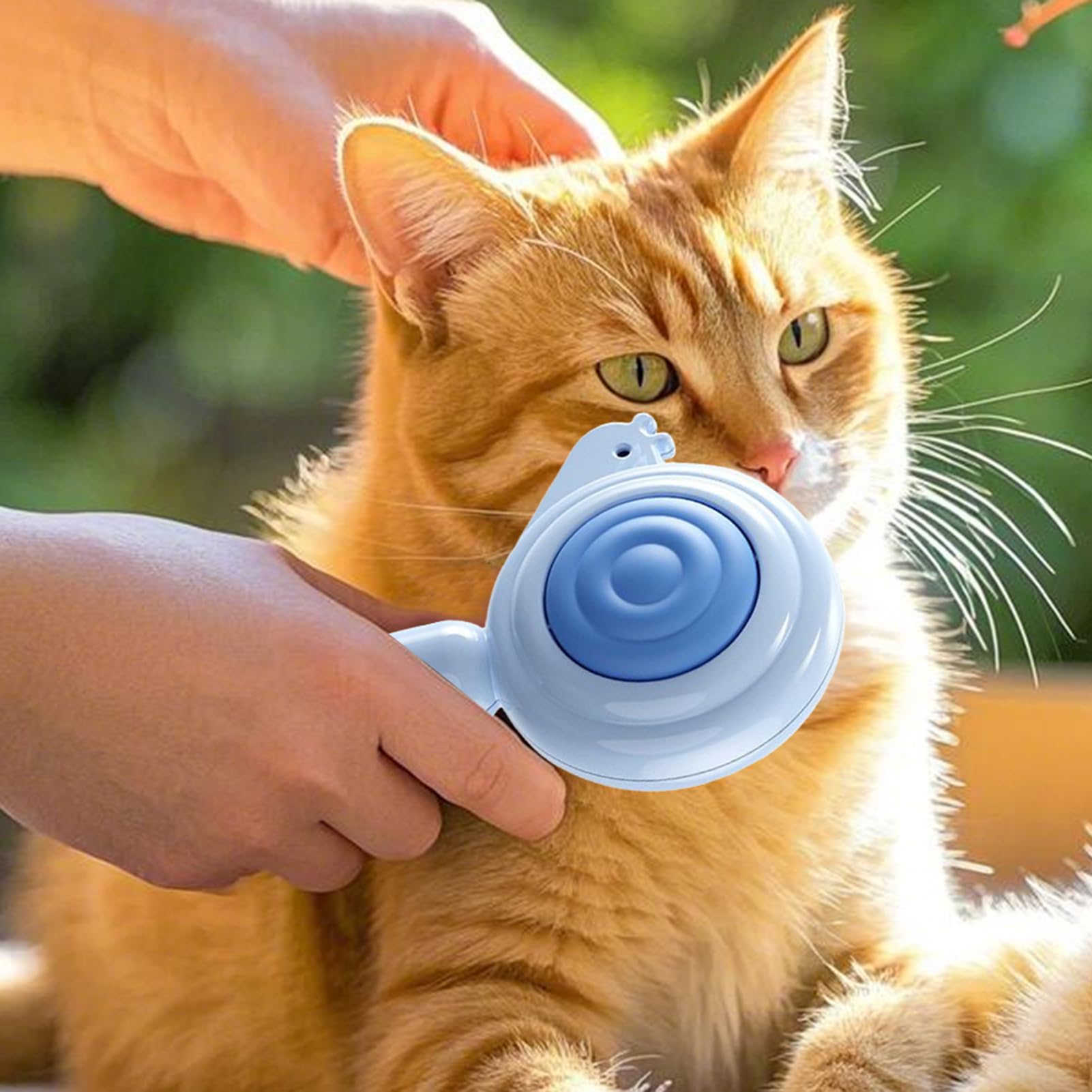 Fellbürste Für Wohnungskatzen Kammwerkzeug Mit Auswurftaste Entfernt | Katzenhaarentferner -Massagepflege Für Hunde Welpen Kätzchen Zuhause Salon Badezimmer Dusche