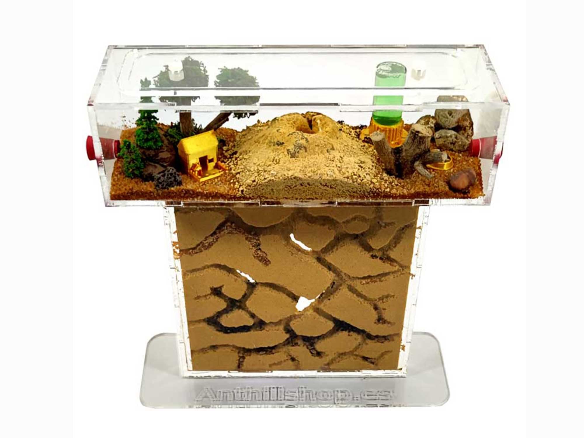 Kleiner Ameisenhaufen aus Natursand (Acryl) – mit Ameisen ┃ von 20 – 30 Ameisen.