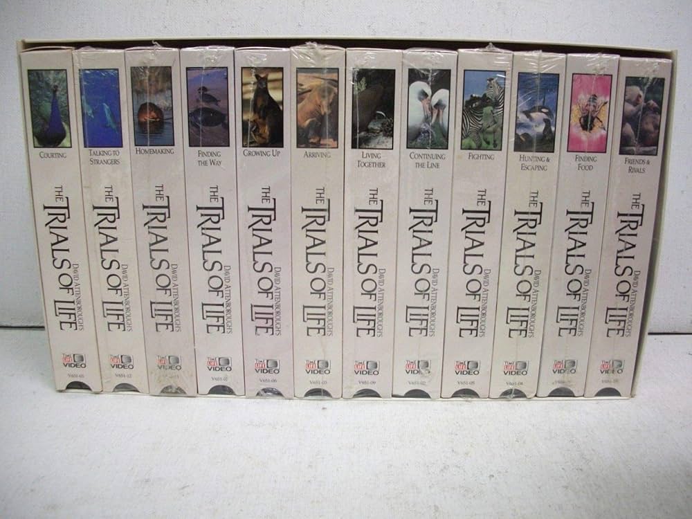 71CDm6VvSQL._AC_UF1000,  