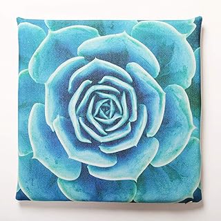 TOOM24K Planta de jardín Mesa de Comedor Silla cojín algodón Esponja Espuma cojín Memory Foam Apto para lumbalgia Cola Lesión ósea ciática Dolor hemorroides Alivio del Dolor pélvico