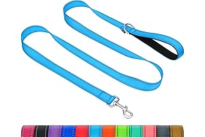 Taglory Dog Leash for Small Dogs | Double-Sided Reflective | Soft Neoprene Padded Handle