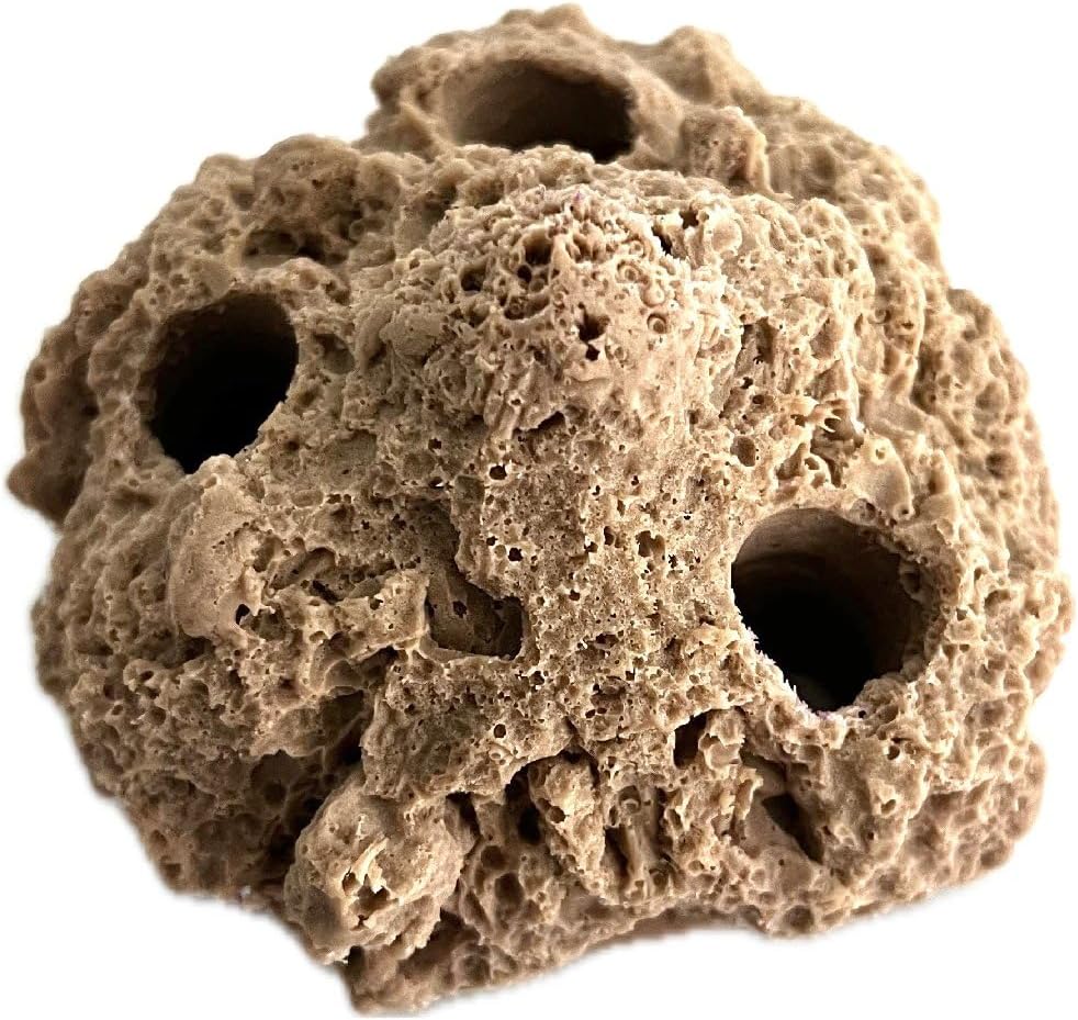 3 Hole Sandbed Coral Frag Rack/Rock for Live Coral Plug Ons for Reef Aquariums (Coralline Purple)