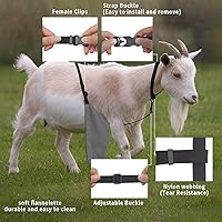 Vista 3 de Anti Breeding Buck Delantal Anti Apareamiento Falda con Correa de Pecho para Cabras Ovejas