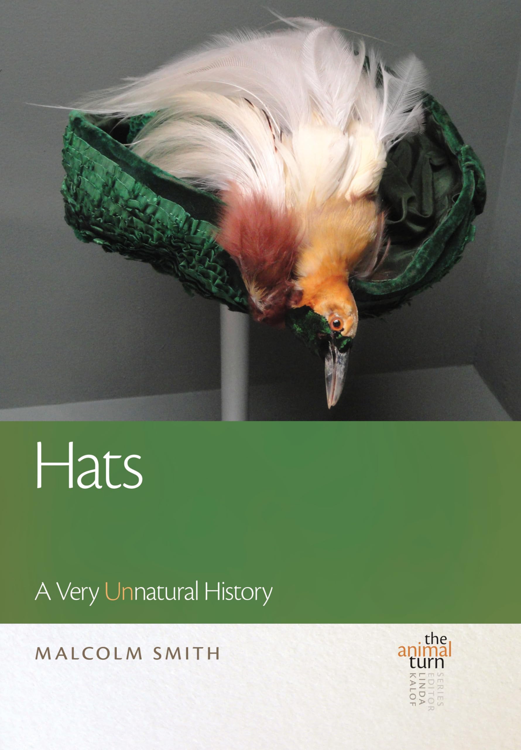 Hats: A Very Un-Natural History le beau livre à lire pour enrichir votre culture mode