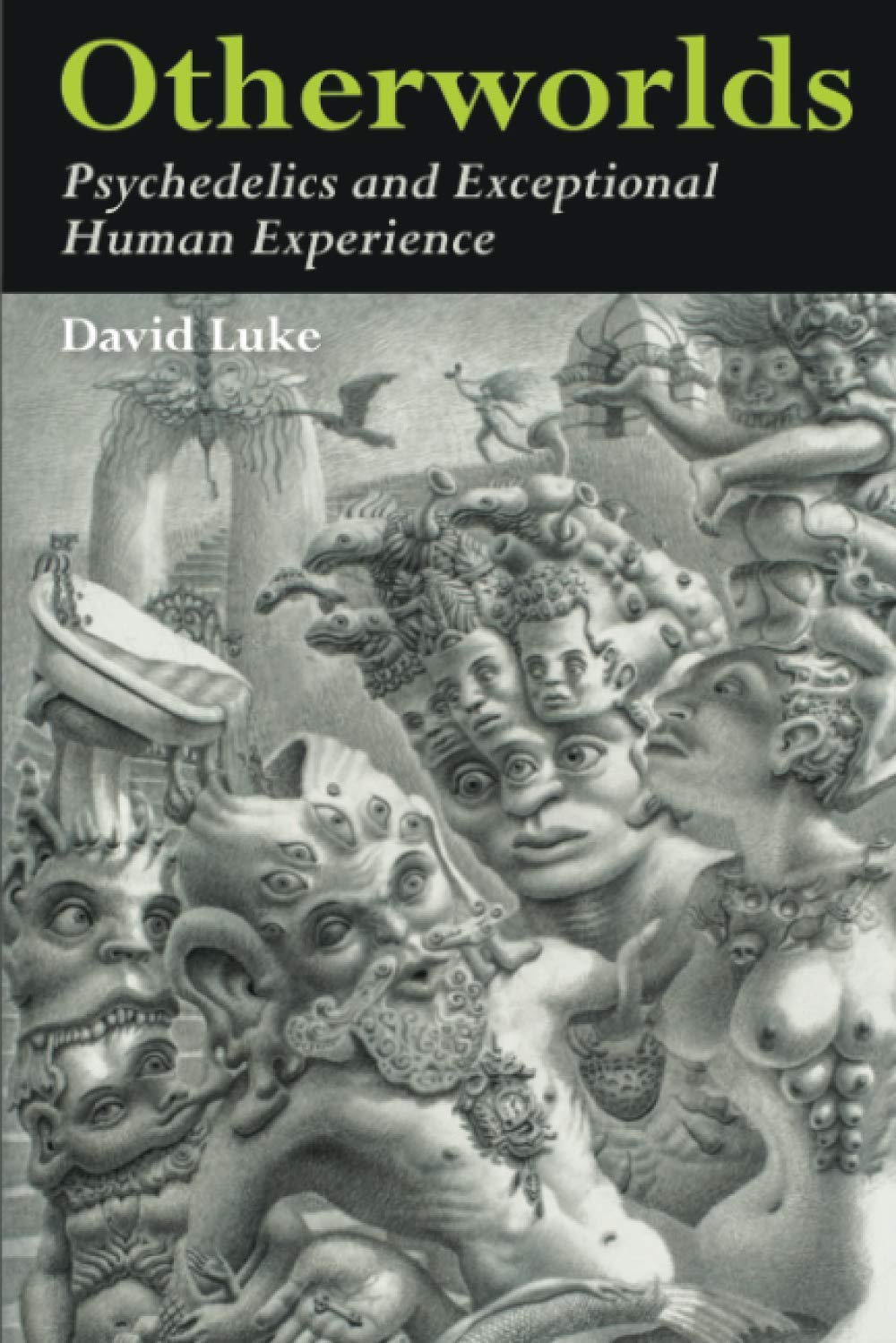 Otherworlds: Psychedelics and Exceptional Human Experience