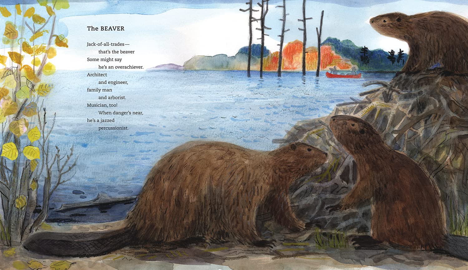 In the Woods (Paws, Fins, Feathers, Claws)