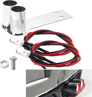 ShareGoo Metal Simulation Exhaust Pipe Tailpipe LED Modified Compatible with Traxxas HPI HSP 94123 Sakura D4 Tamiya TT01 1/10 RC Drift Car (Style 2)