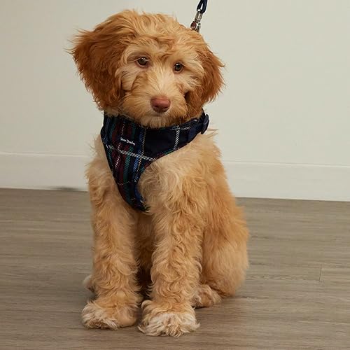 Miniatura 6 de Vera Bradley Arnés para mascotas ajustable reciclado Lighten Up repelente al agua con forro polar, Viñas de vidrio