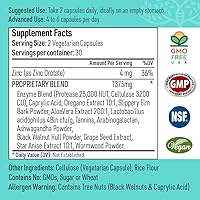 Vista 3 de Candida Complex Digestive Enzymes Suplemento de limpieza probiótica Aceite de orégano, ajenjo, cáscaras de nogal negro, olmo resbaladizo
