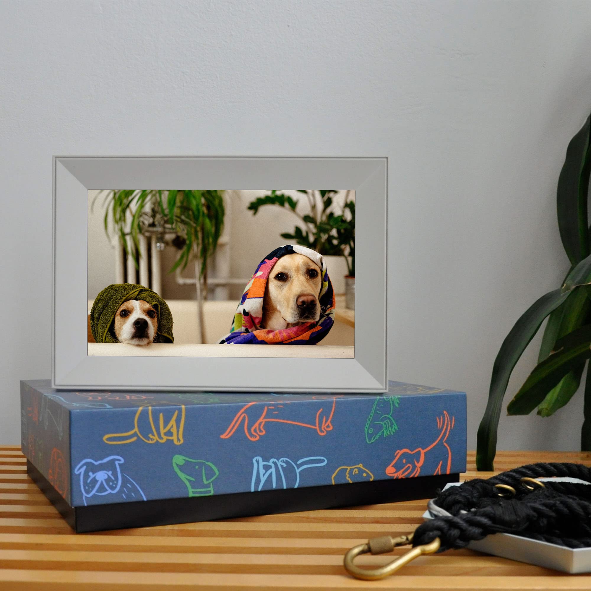 Buy Aura Carver Smart Digital Picture Frame 10.1 Inch HD WiFi Cloud Digital Frame Free Unlimited