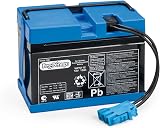 PEG Batterie 12V/12Ah - Pièce de Rechange Originale Rechargeable pour Véhicules Électriques Peg Perego - 1
