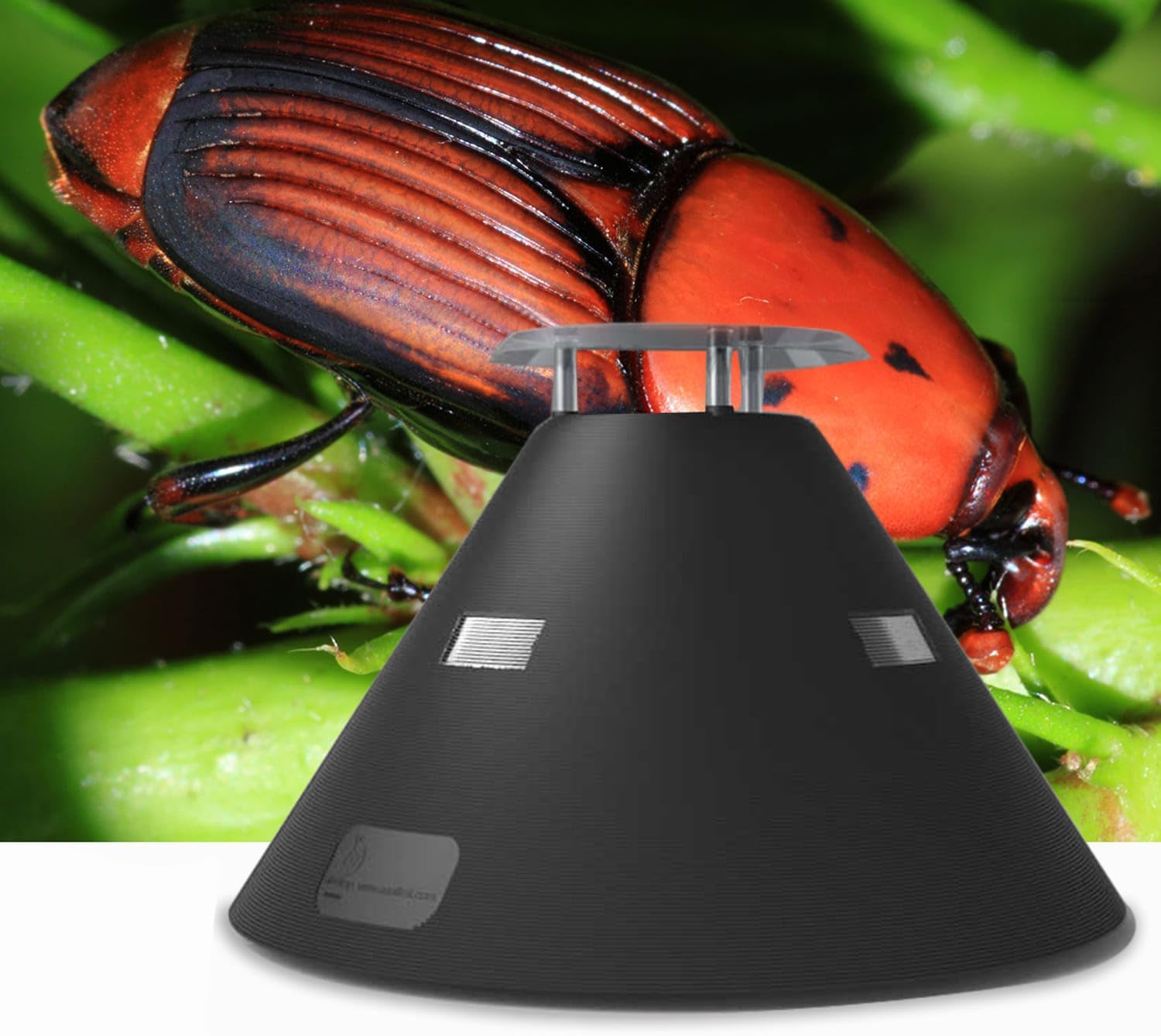 ELECTRAP® - Red palm weevils final solution. (Future Innovative Right Solutions Technologies, UAE)