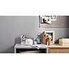 Product Photo 5