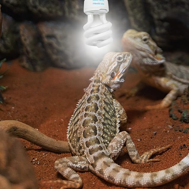 Foto 5 de 5 de Yeaxxsqy Bombillas UVB para Reptiles 5.0 Interfaz UVB E27 Luz de Reptil Subtropical Iluminación Blanca Azul…