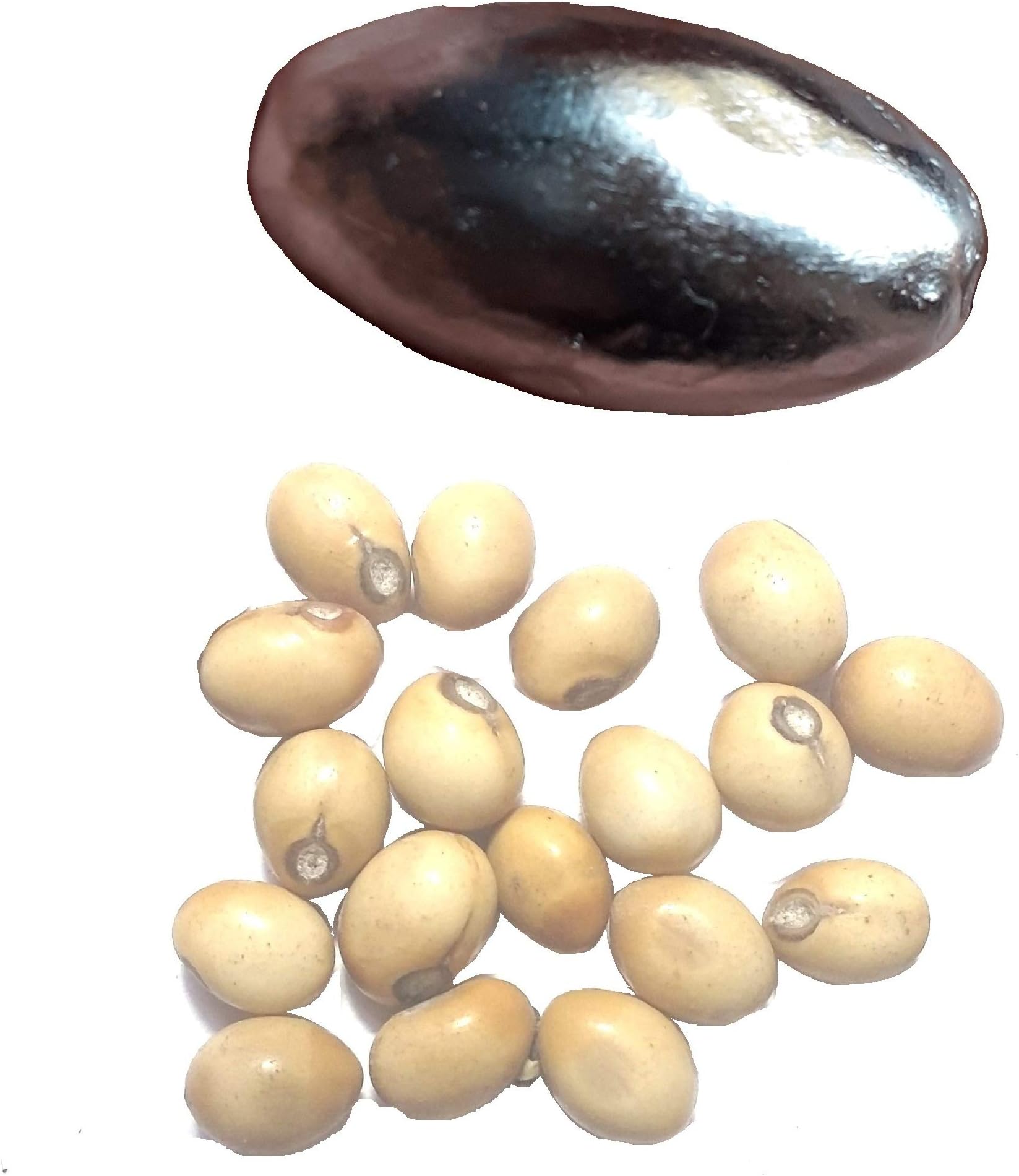 Choicepick Chezel Parad Gutika Mercury Ball Rasamani with Maximum Parad 20 GMS with Hole and Safed Gunja (Standard Size, Silver)