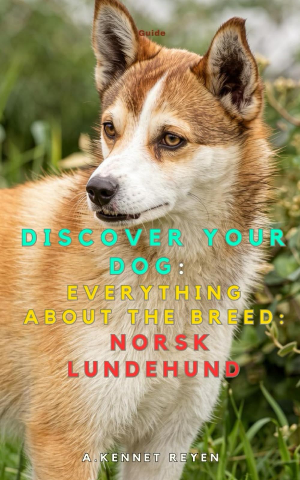 Discover your dog: Everything about the breed: Norsk Lundehund