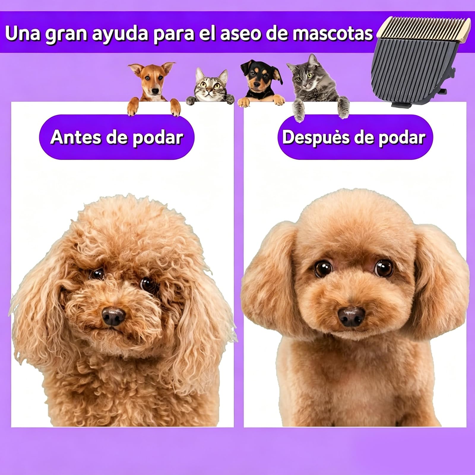 Amazon.co.jp: 犬毛クリッパーの刃専門ペット バリカン替刃猫犬