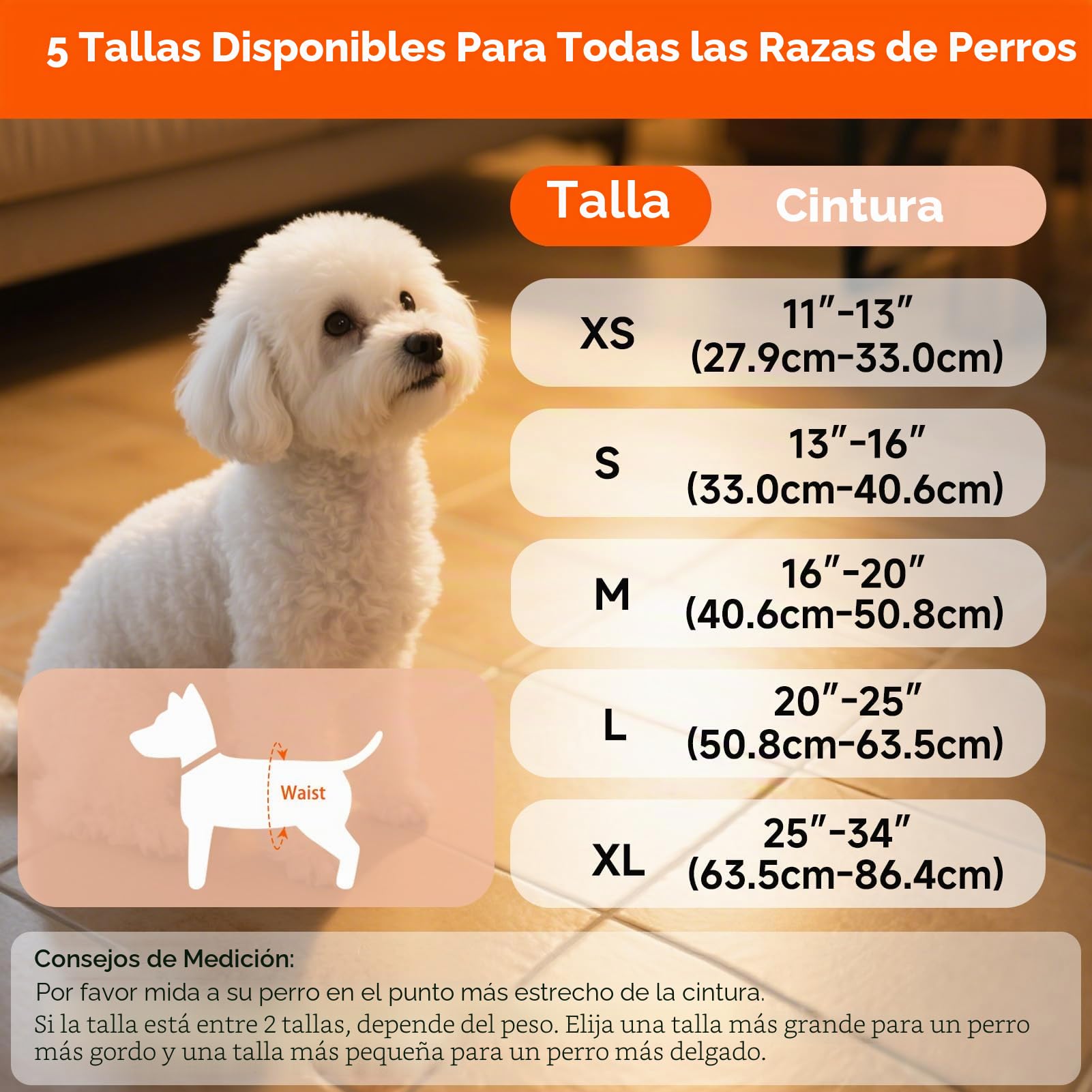 Pañales Lavables para Perros machos Paquete de 5 Reutilizables(M) | Fajas Abdominales Premium para Perros machos, envolturas Lavables de Alta absorción para Perros con incontinencia