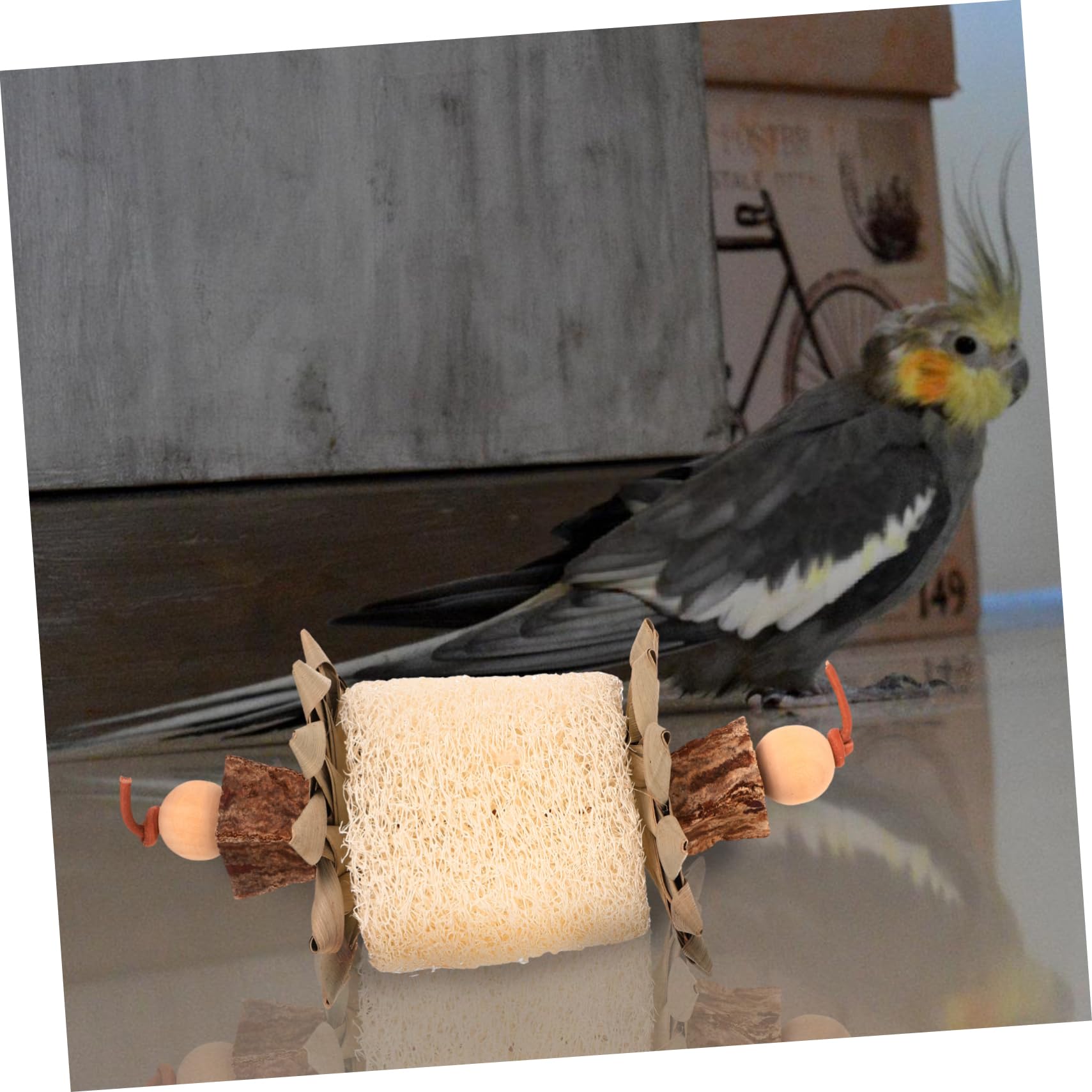 TOYANDONA Jouet à Mâcher pour Oiseaux Luffa Jouet Tissé pour Cage Pendentif pour Perroquet pour Conures pour Perruches Ondulées