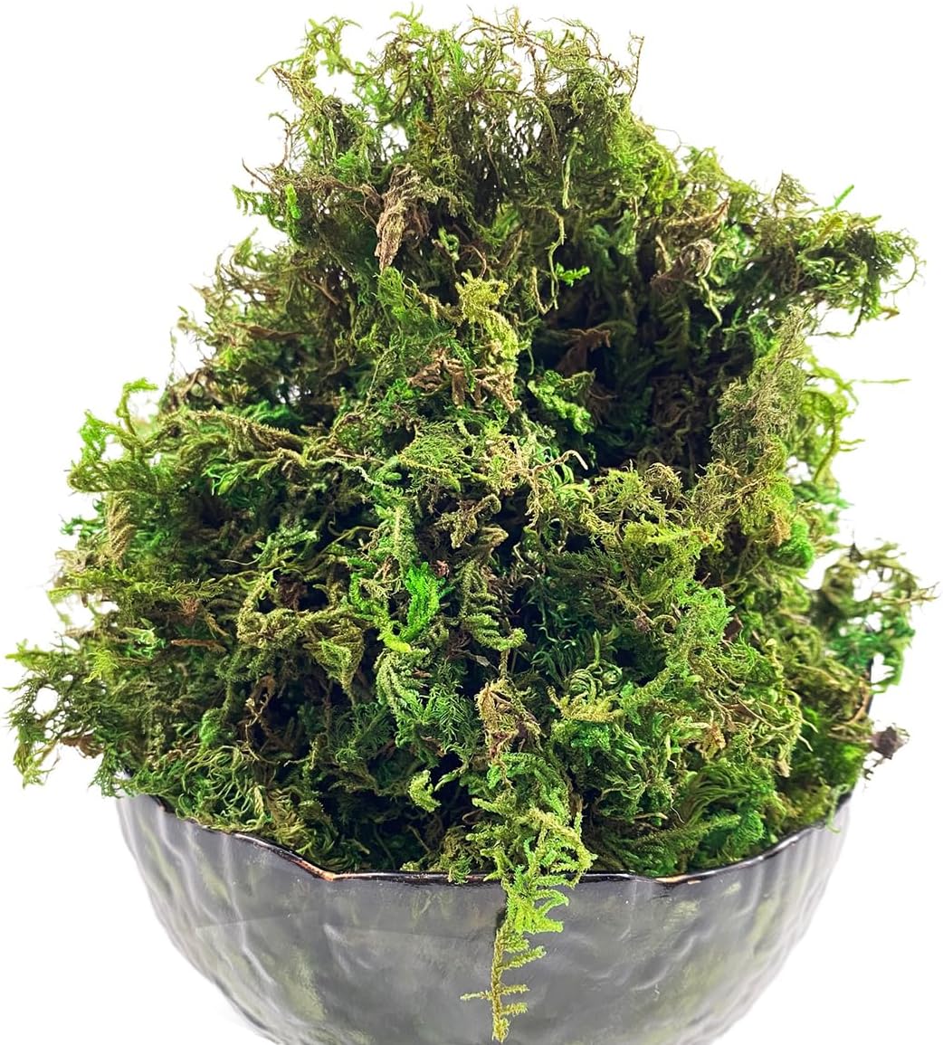 ECYC 1.06 OZ Green Artificial Moss, Fake Moss Potted Plants Decorative Moss Faux Moss for DIY Crafts Floral Wall Decor Wedding Centerpieces Fairy Garden Decoration