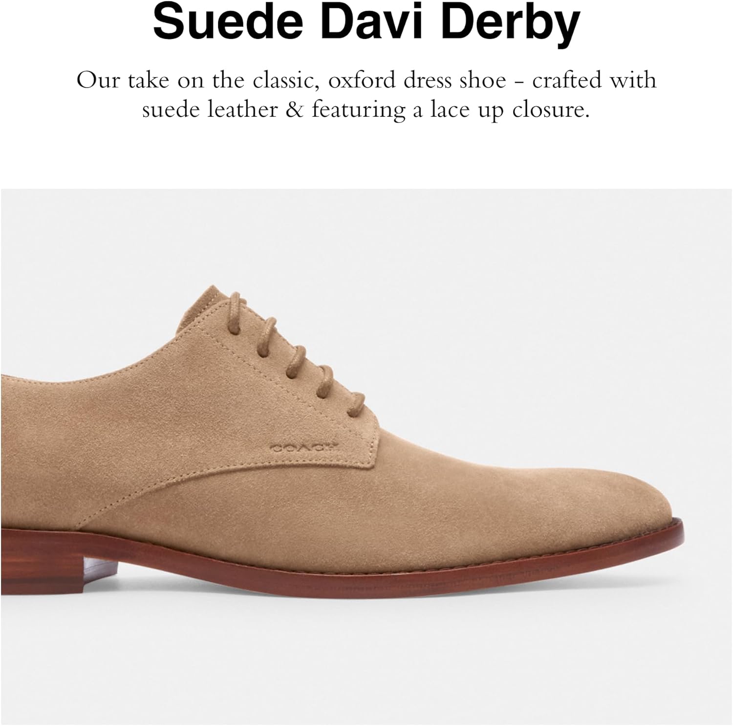 Coach Mens Davi Suede Derby