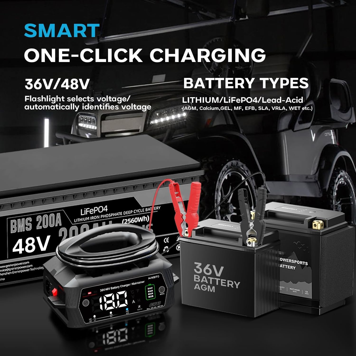 Golf cart Battery Charger, 48V 13A and 36V 18A Trickle Battery Charger,48 Volt Golf Charger,for EZGO RXV&TXT Smart Charger,Lithium,LiFePO4,Lead-Acid AGM/Gel/SLA..BatteryCharger,3-Pin (Delta-Q) - Image 2