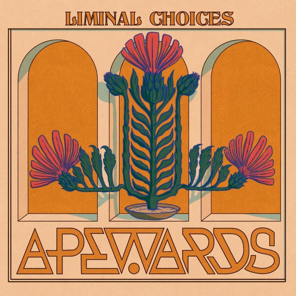 Apewards Liminal Choices CD New 4260589412243