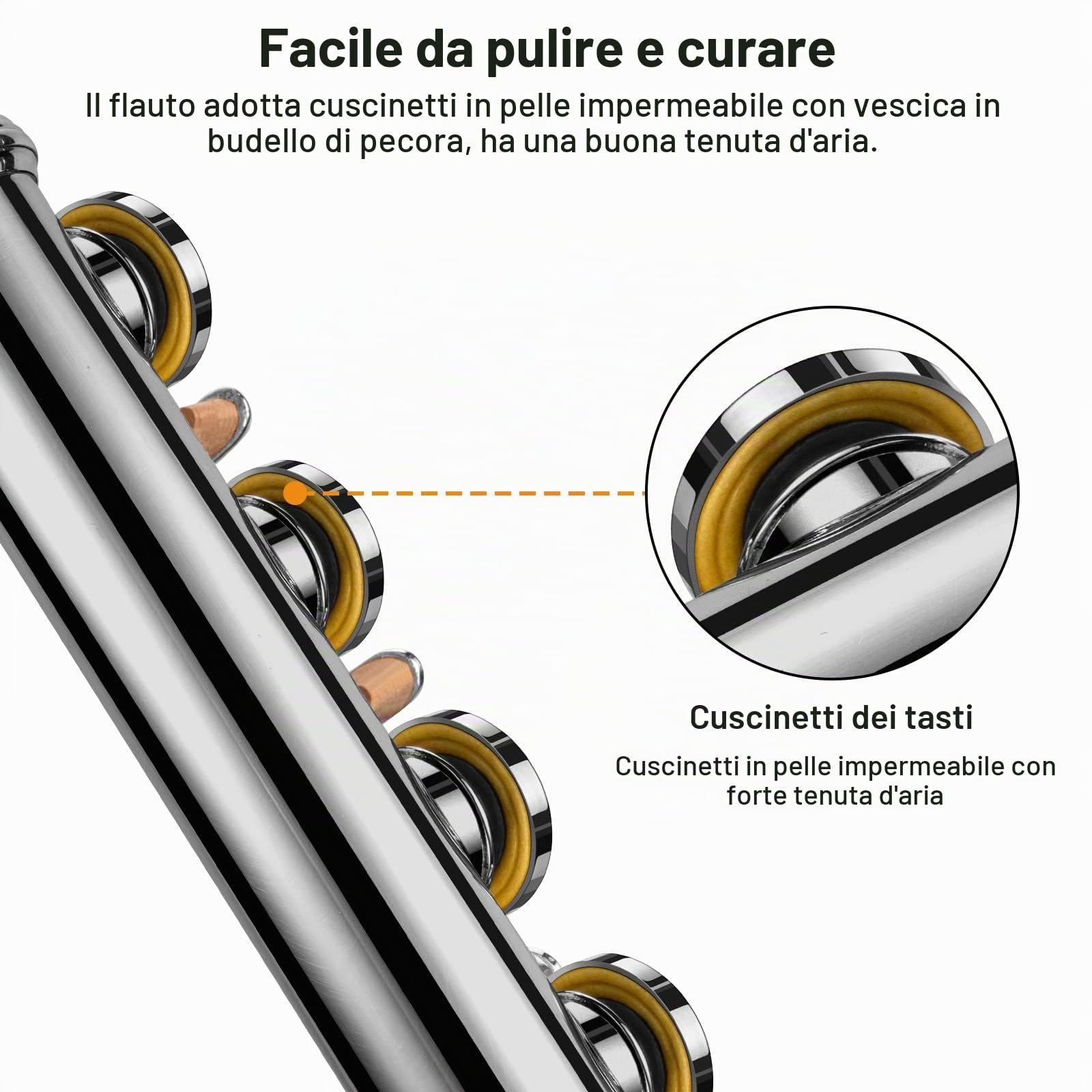 POGOLAB Flauti, Foro Chiuso C 16 Tasti, Flauto per Studenti Principianti Avanzati, con Kit di Pulizia per Flauto, Borsa per il Trasporto, Supporto, Cinghia, Asta Sonda, Guanti, Grasso, Placcato Nickel