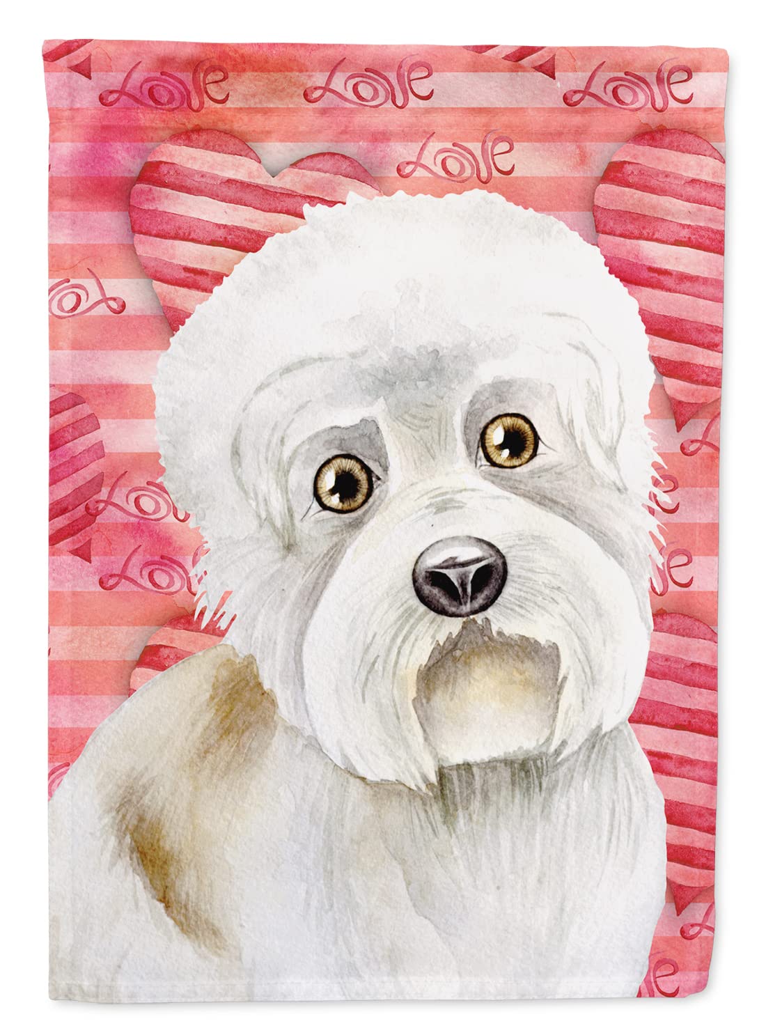 Dandie Dinmont Love Flag idée cadeau idéale pour passionnés de chiens et de jardinage