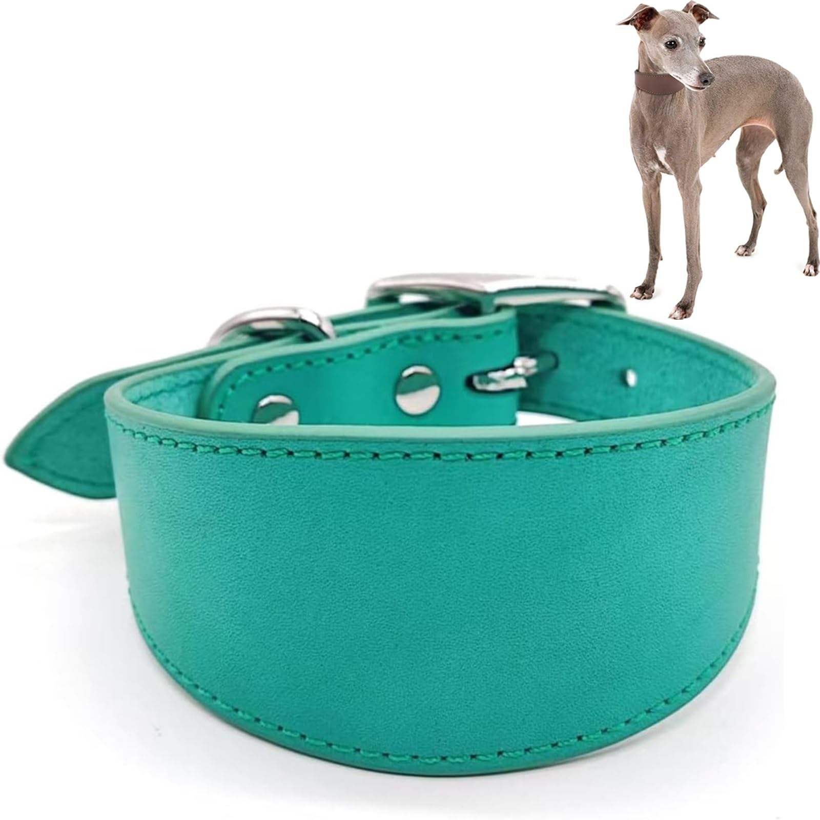 Wide Padded Leather Dog Collar for Italian Greyhound & Whippet, Adjustable Soft Pet Collar with Heavy Duty D-Ring for Daily Walking & Outdoor Use(Green,S)
