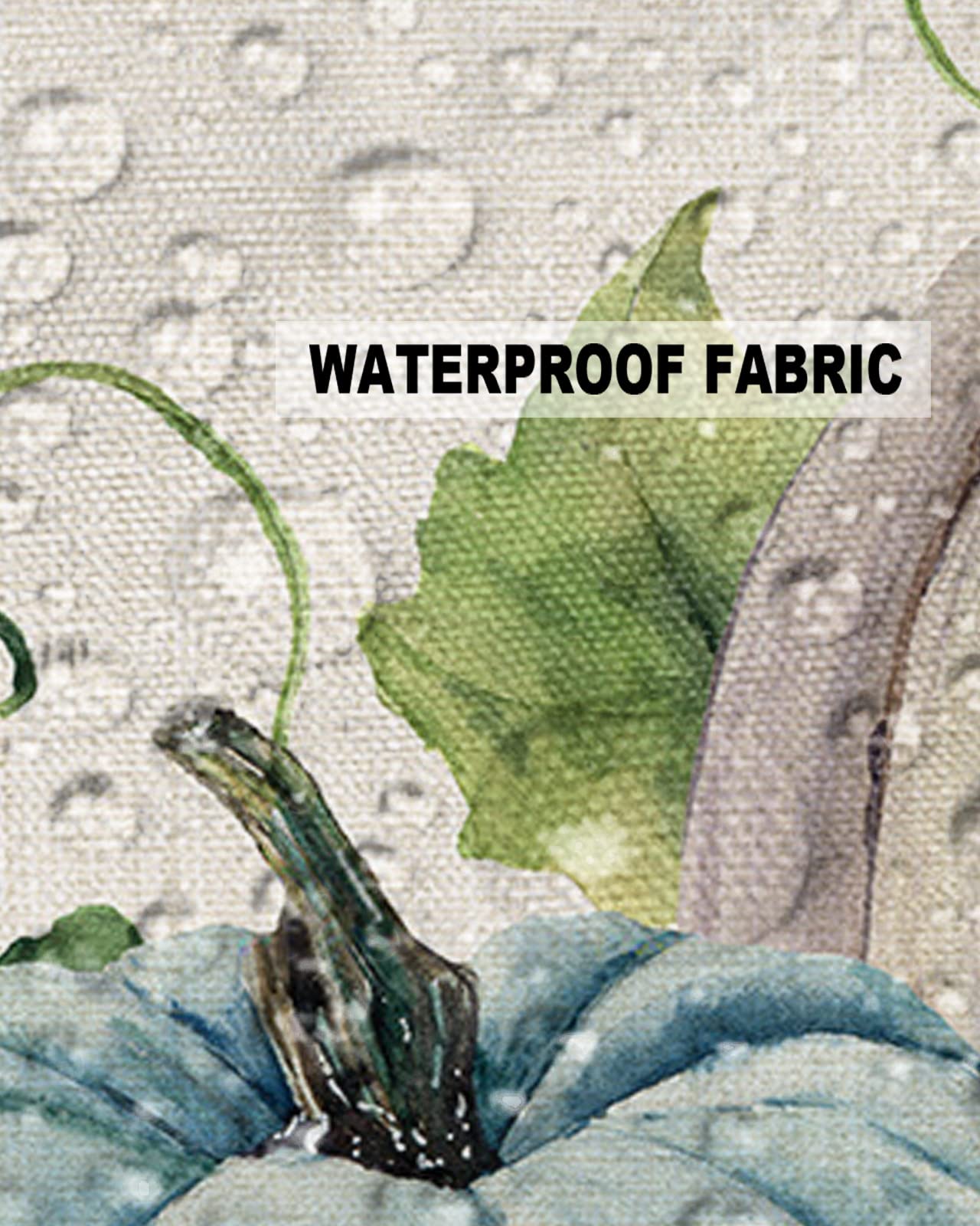 OUR DREAMS Outdoor Pillow Covers Waterproof, Thanksgiving Throw Pillowcase Decorative Cover, Fall Teal Beige Pumpkin Eucalyptus Leaves Lumbar Set of 2 for Sofa, Couch, Tent, Patio 20''x12''