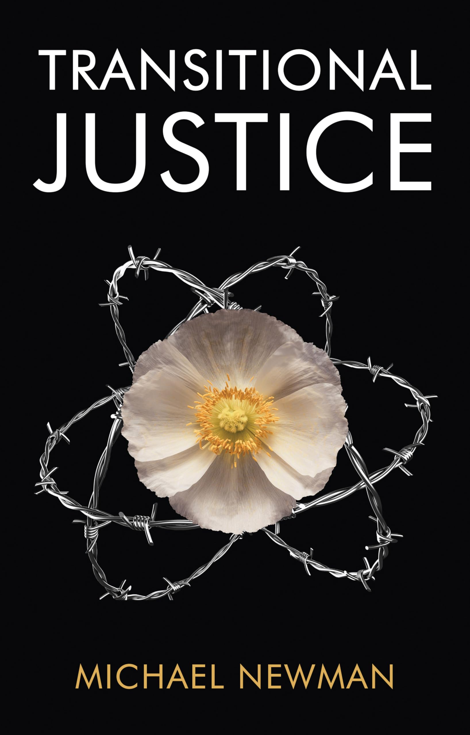 Transitional Justice – Contending with the Past Newman Paperback Polity Press