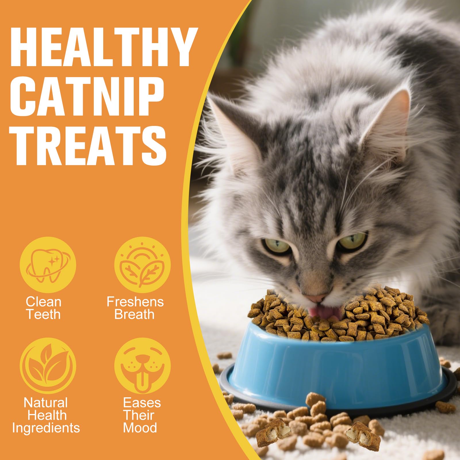 Natürliche knusprige & weiche Katzen-Leckerlis für Indoor-Katzen - Katzenminze & Lachsgeschmack, Katzensnacks mit echtem Lachs, Zahnpflege & Verdauungsunterstützung, gesunde Trainings-Leckerlis