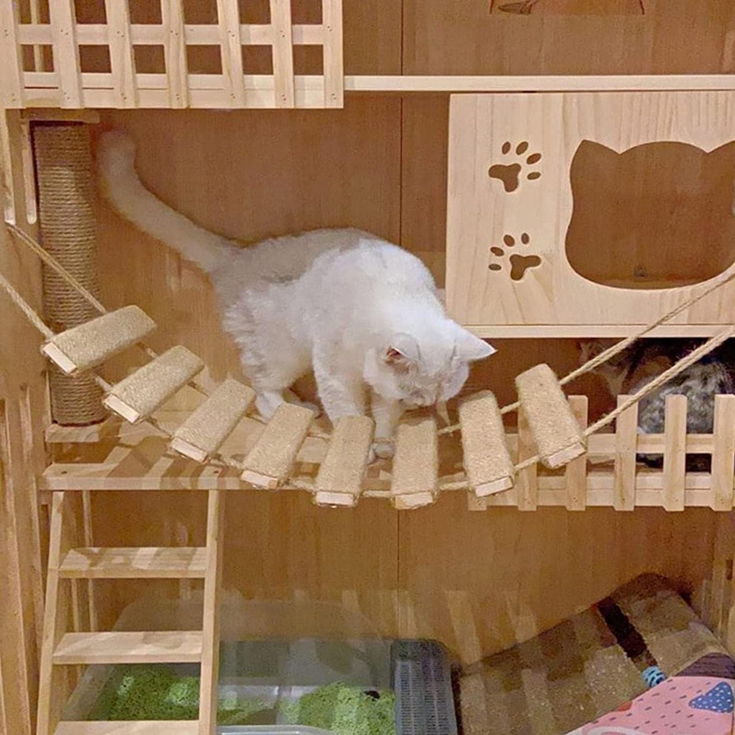 Pont d'échelle pour chat pour mur, cadre d'escalade, corde d'escalade pour chat, jouets, arbre à chat d'extérieur, corde en sisal, cadre d'escalade, meubles pour animaux de compagnie (A, 100 cm, 1)