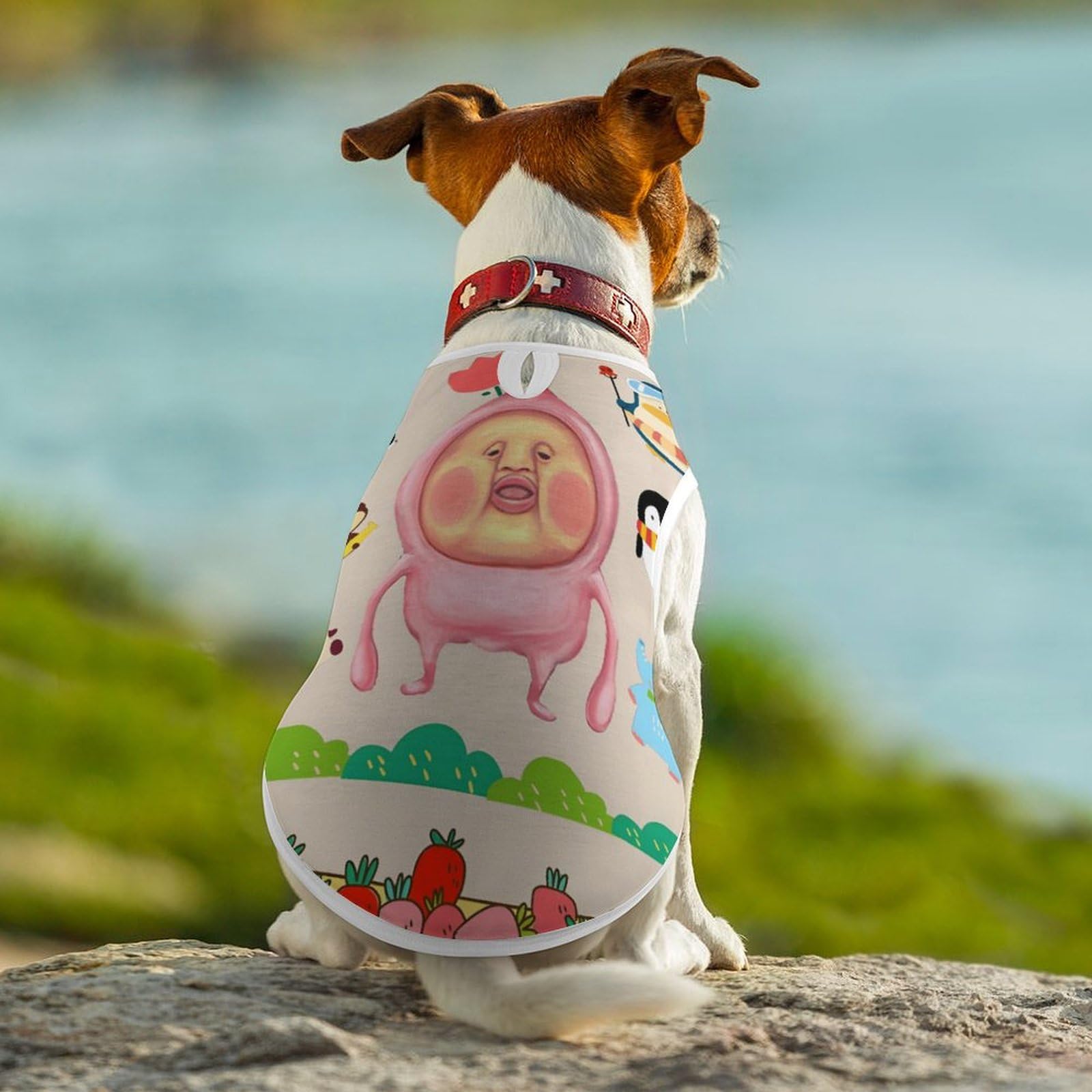 Amazon | こびとづかん 42 ペット服 犬の服 犬猫洋服 Tシャツ 愛犬