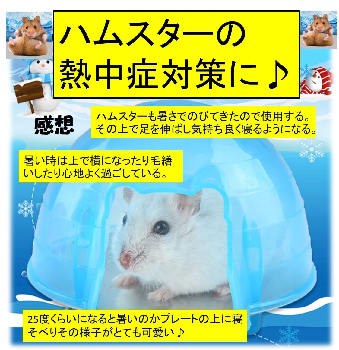 Amazon | ST TS ハムスター クーラー スケルトンで観察しやすい 冷却