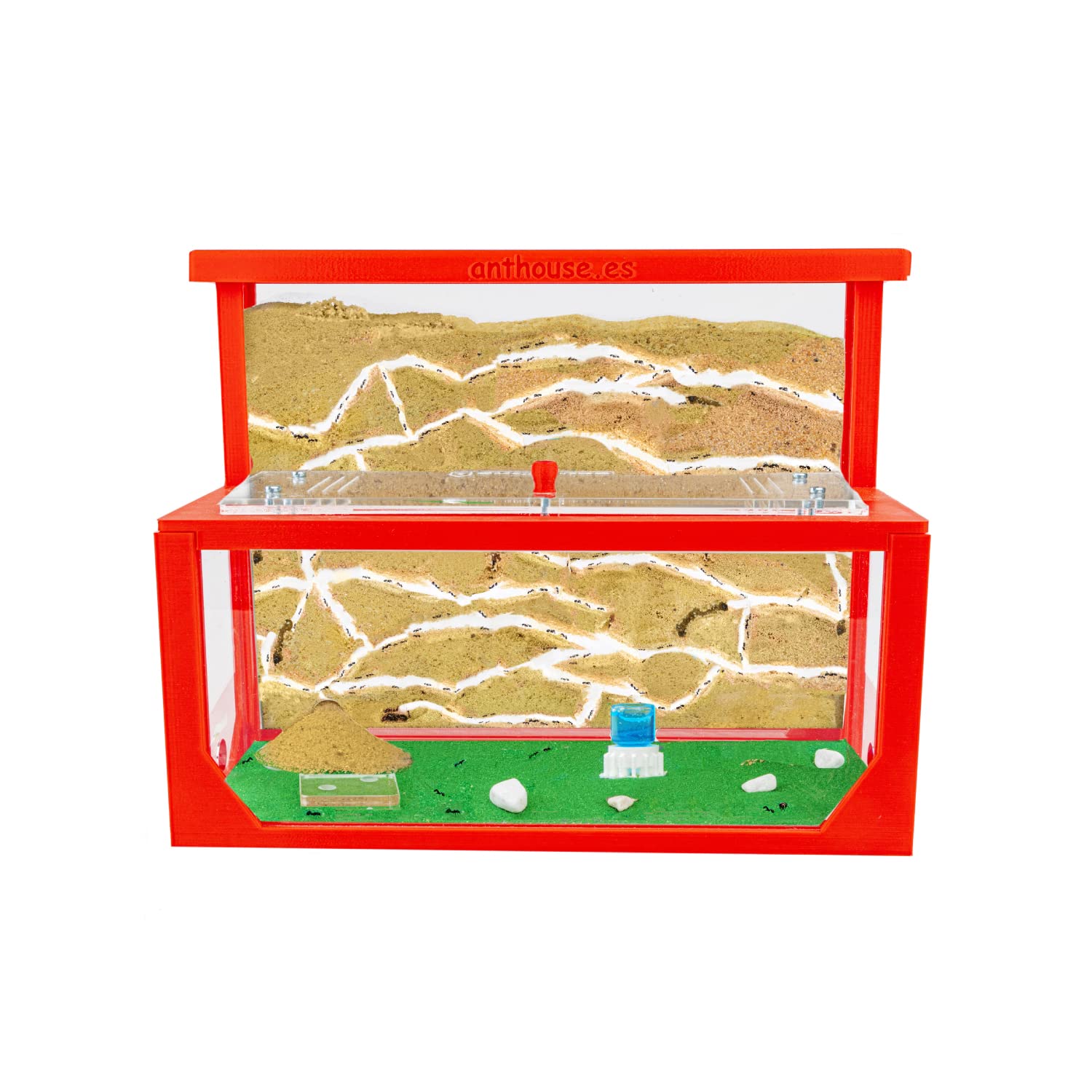 Anthouse.es - Hormiguero Natural de Arena - Kit Hormiguero 3D Forma de L (Sándwich + Caja de Forrajeo) - Granja de Hormigas con Colonia de Hormigas Incluida - 25x20x1 cm y 10x24x10 cm - Rojo