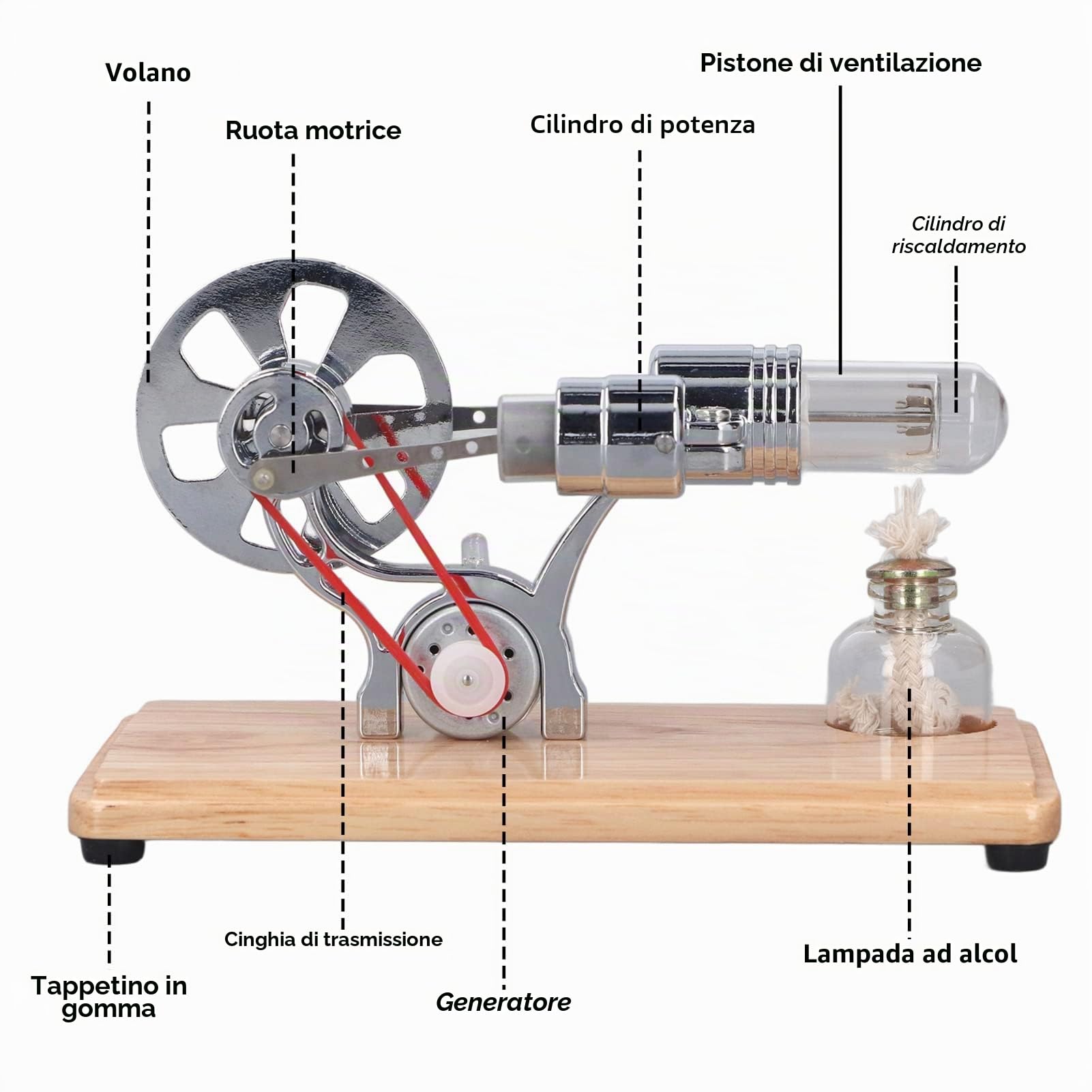 Kit di costruzione modello motore Stirling SALUTUYA, motore a vapore Stirling, semplice da usare, multiuso in acciaio inossidabile e lega di zinco, giocattolo educativo per esperimenti di fisica per
