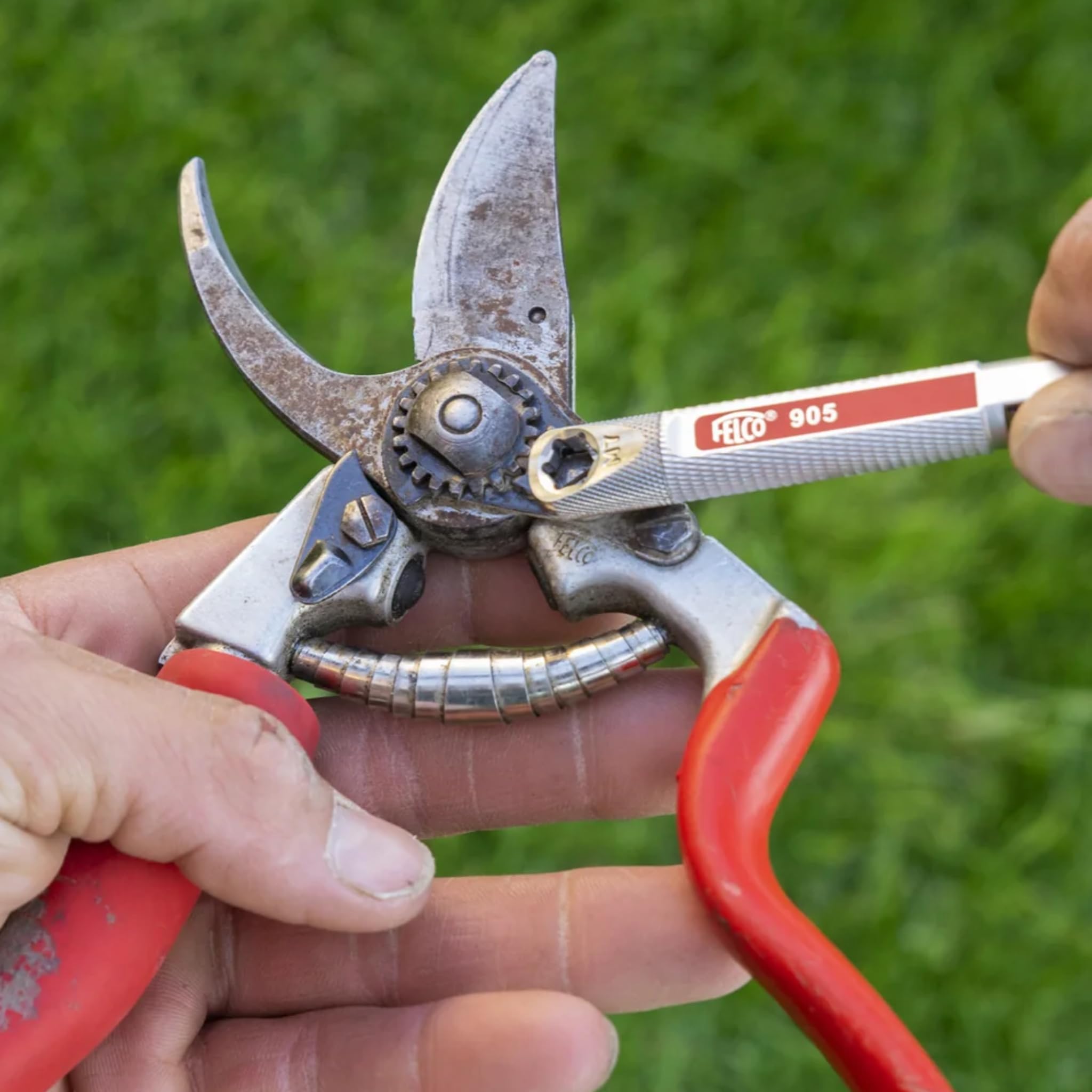 FELCO 2 Tijera de Podar Profesional Bypass 25 mm para Mano Derecha y Manos Grandes + Afilador Multifunción FELCO 905 para Mantenimiento Preciso y Duradero