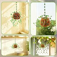 Vista 6 de Kit de plantas con cuentas, atrapasoles, suculentas, regalos para amantes de las plantas, atrapasoles de plantas para colgar en la ventana