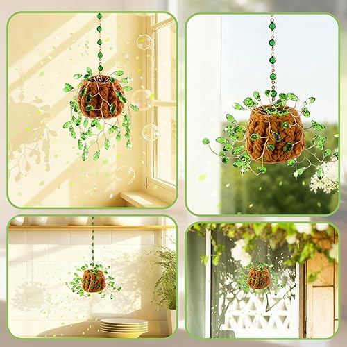 Miniatura 6 de Kit de plantas con cuentas para suculentas, atrapasoles de sol, regalos para amantes de las plantas, atrapa el sol suculenta para colgar en la