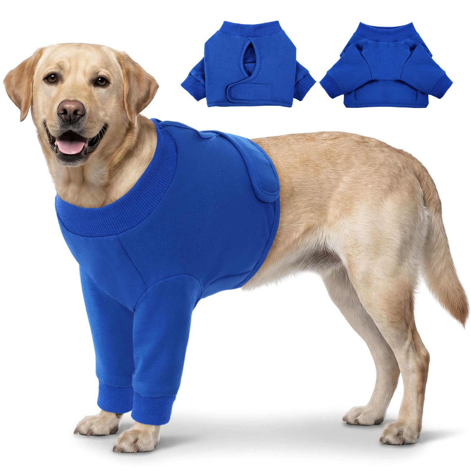 Manchon de protection chien blessé CITÉTOILE pour balades en toute sécurité