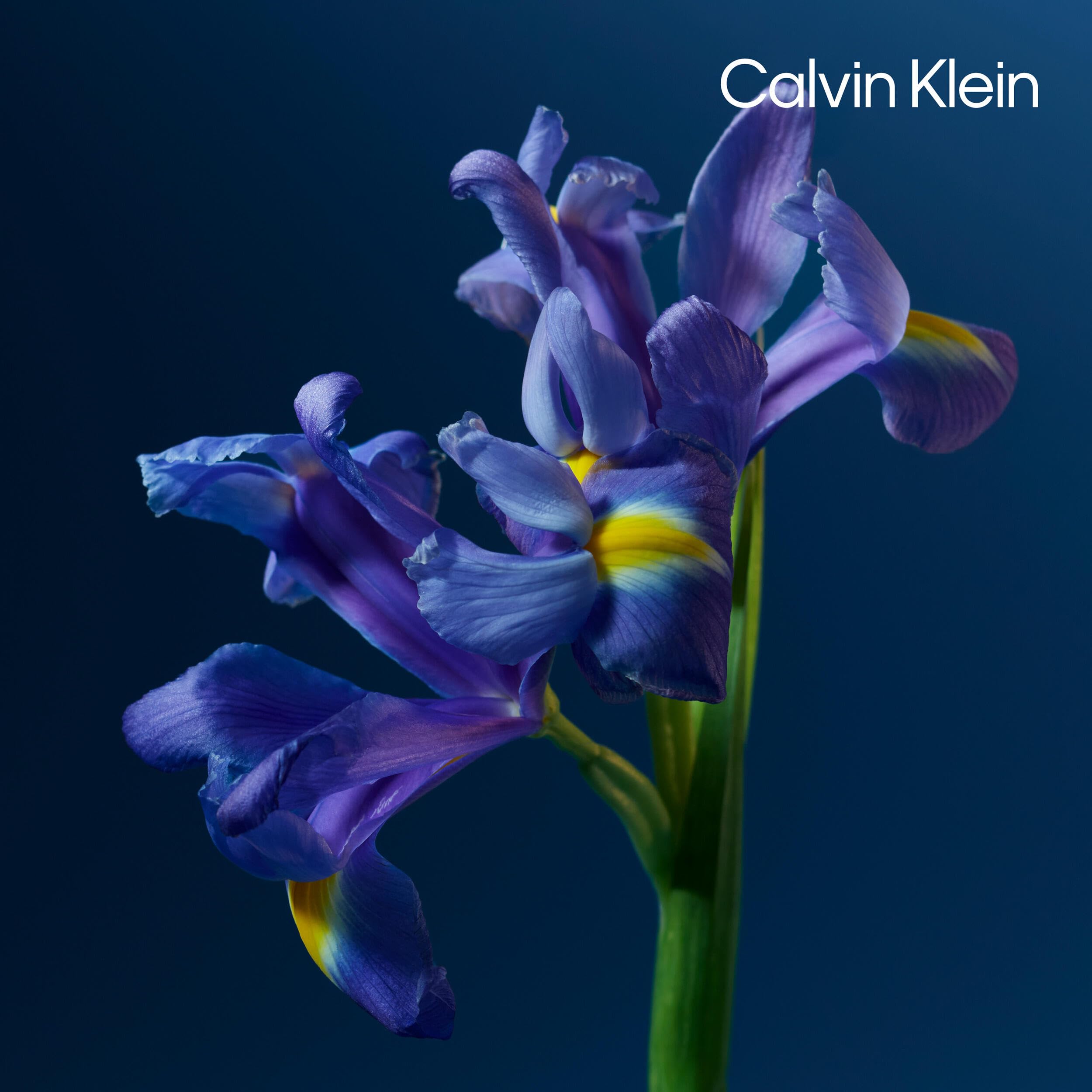 Calvin Klein ck one night essence Parfum Intense