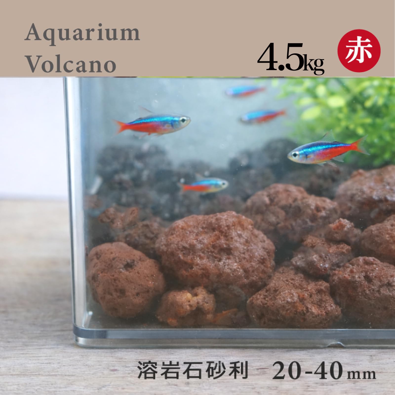 Amazon | 溶岩石砂利 赤 水槽用 20-40mm 4.5kg｜大粒火山岩で自然