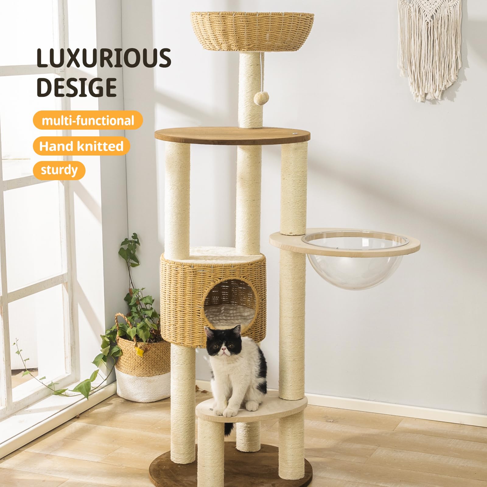 Amazon | モダン キャットツリータワー 大型猫用 3キャット
