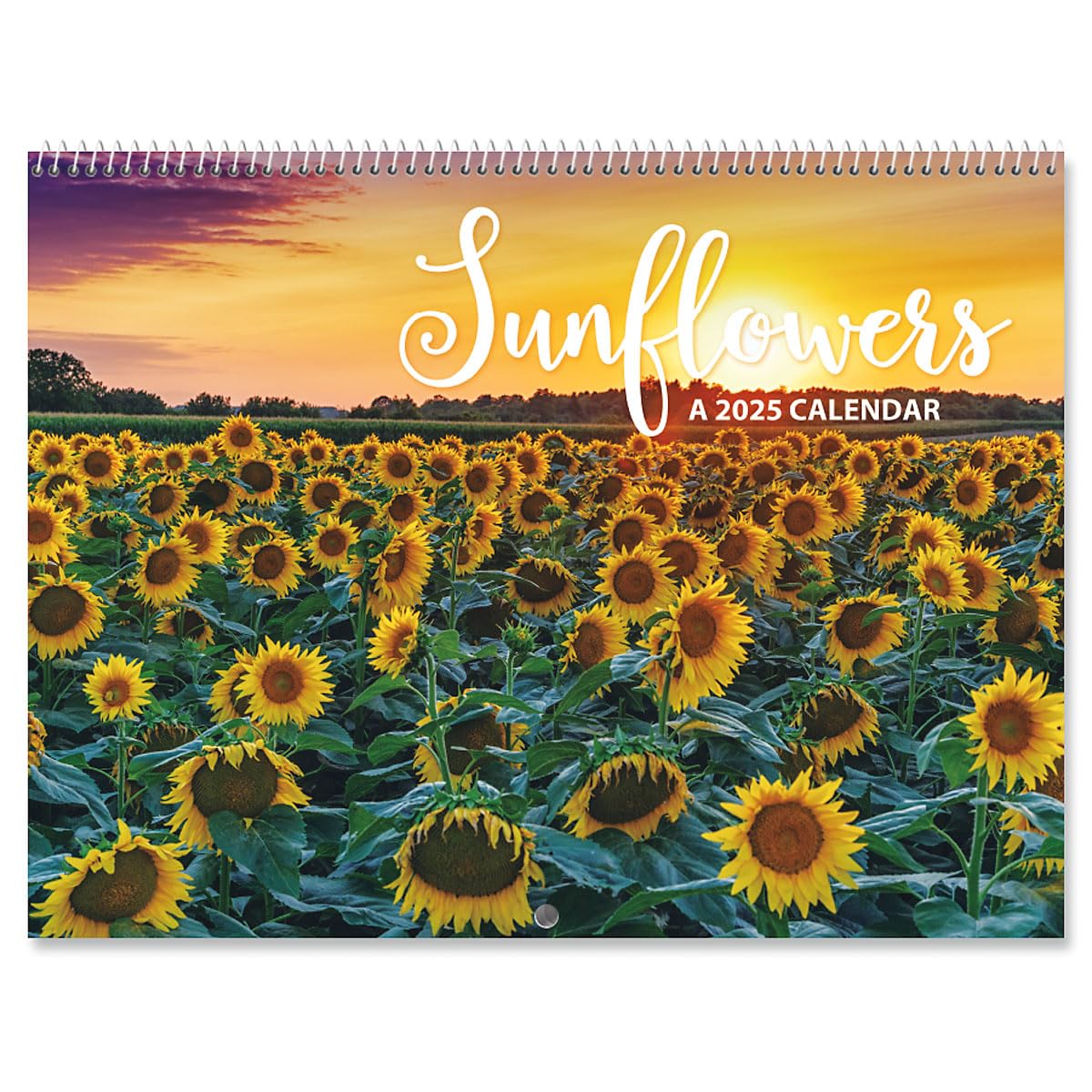 amazon-com-2025-sunflowers-wall-calendar-12-inch-x-9-inch-size-closed-18-inch-size-open-large-bookstore-quality-spiral-bound-hanging-monthly-wall-calendars-for-kitchen-office-by-current-office-products