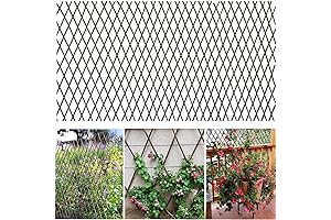 Expandable Willow Fence - 36 x 92 Inch Trellis for Climbing Plants