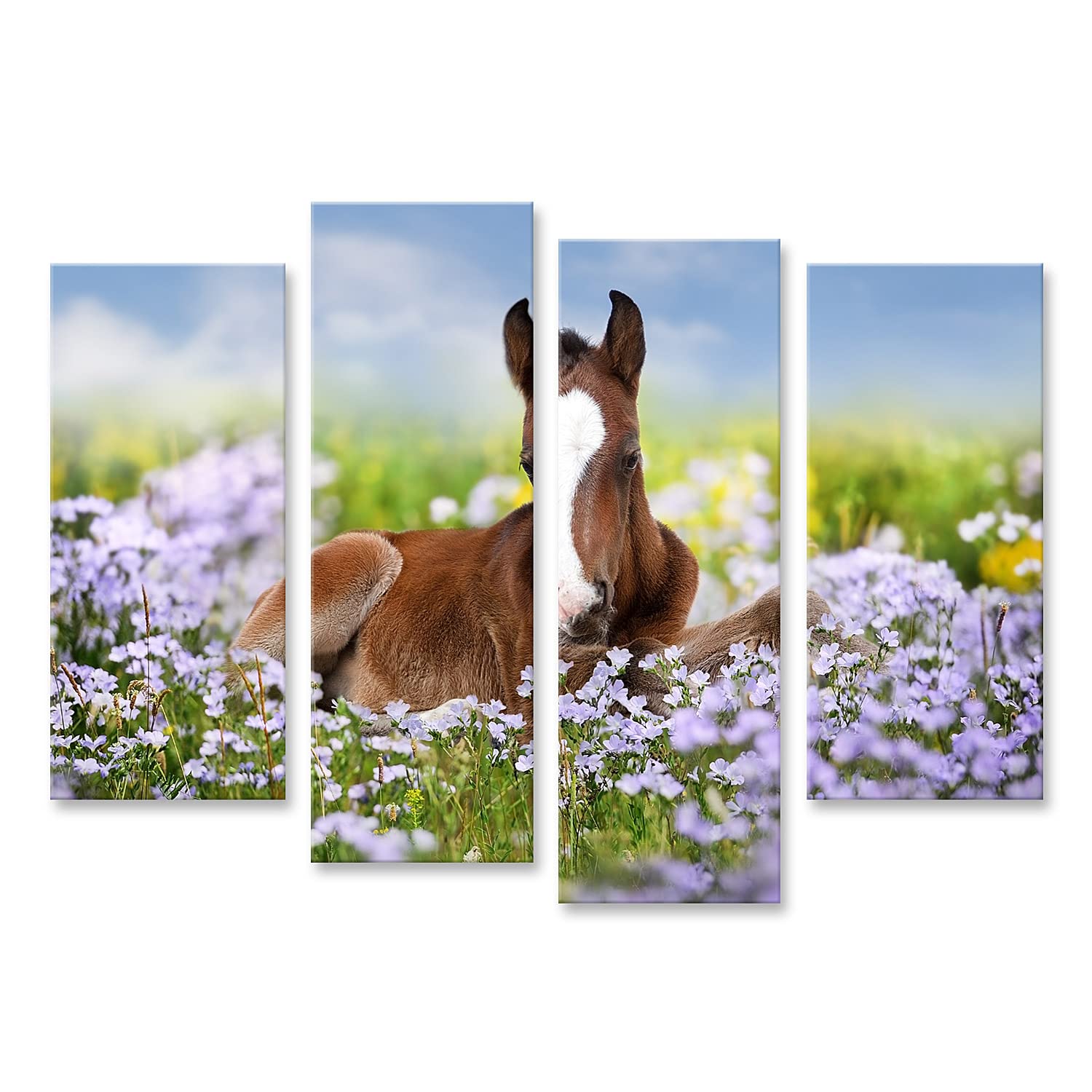 islandburner - Cuadro sobre lienzo (potro lindo sobre flores de prado, pequeño caballo suave para habitación de los niños, marco para póster de pared