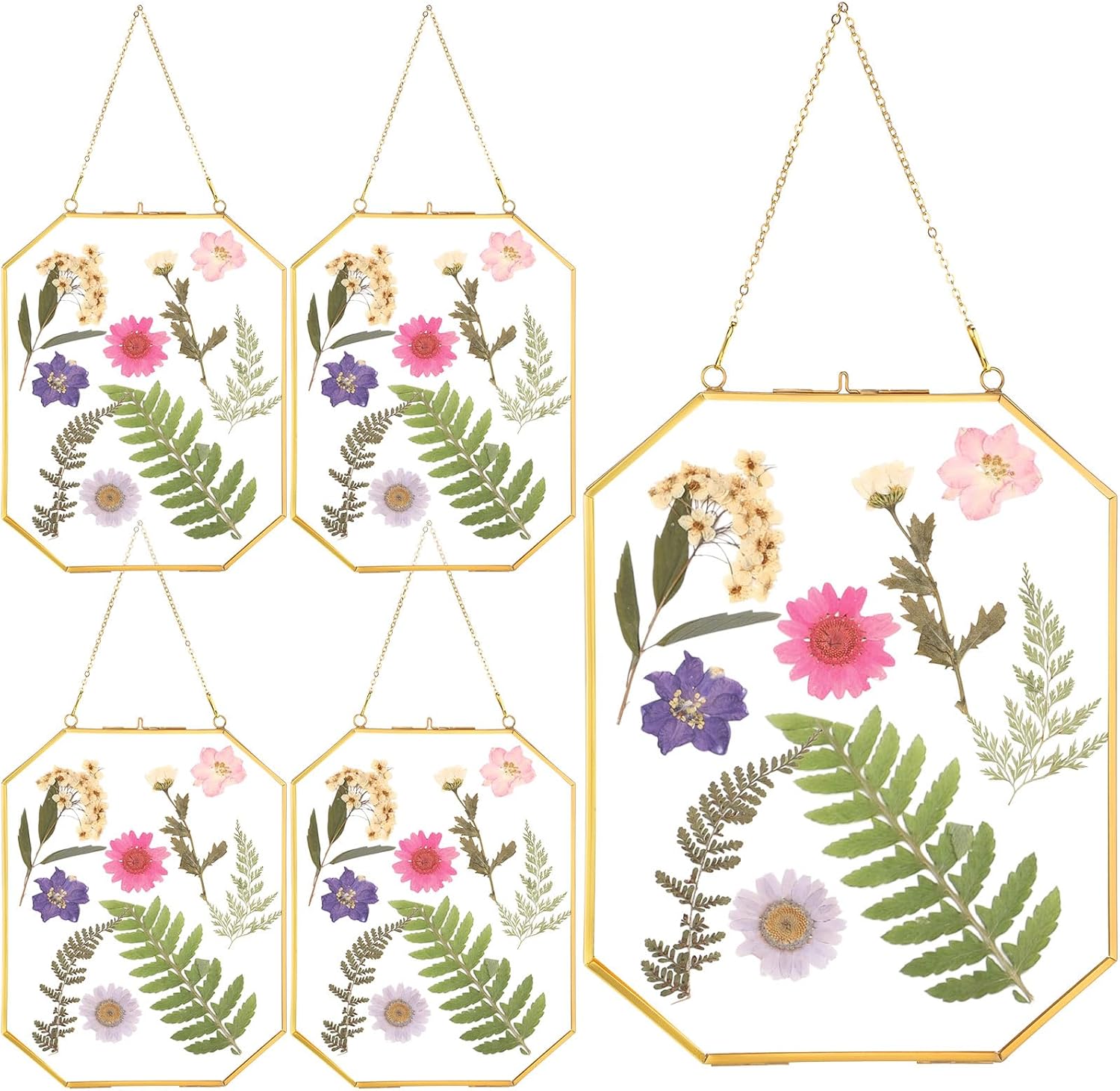 Treela 4 Pieces 8 x 10 Inch Glass Pressed Flower Frame, Hanging Double Glass Frames with Metal Chain Octagon Brass Tabletop Display for Dried Flowers Plant Picture Photo Artwork DIY Decor(Gold)